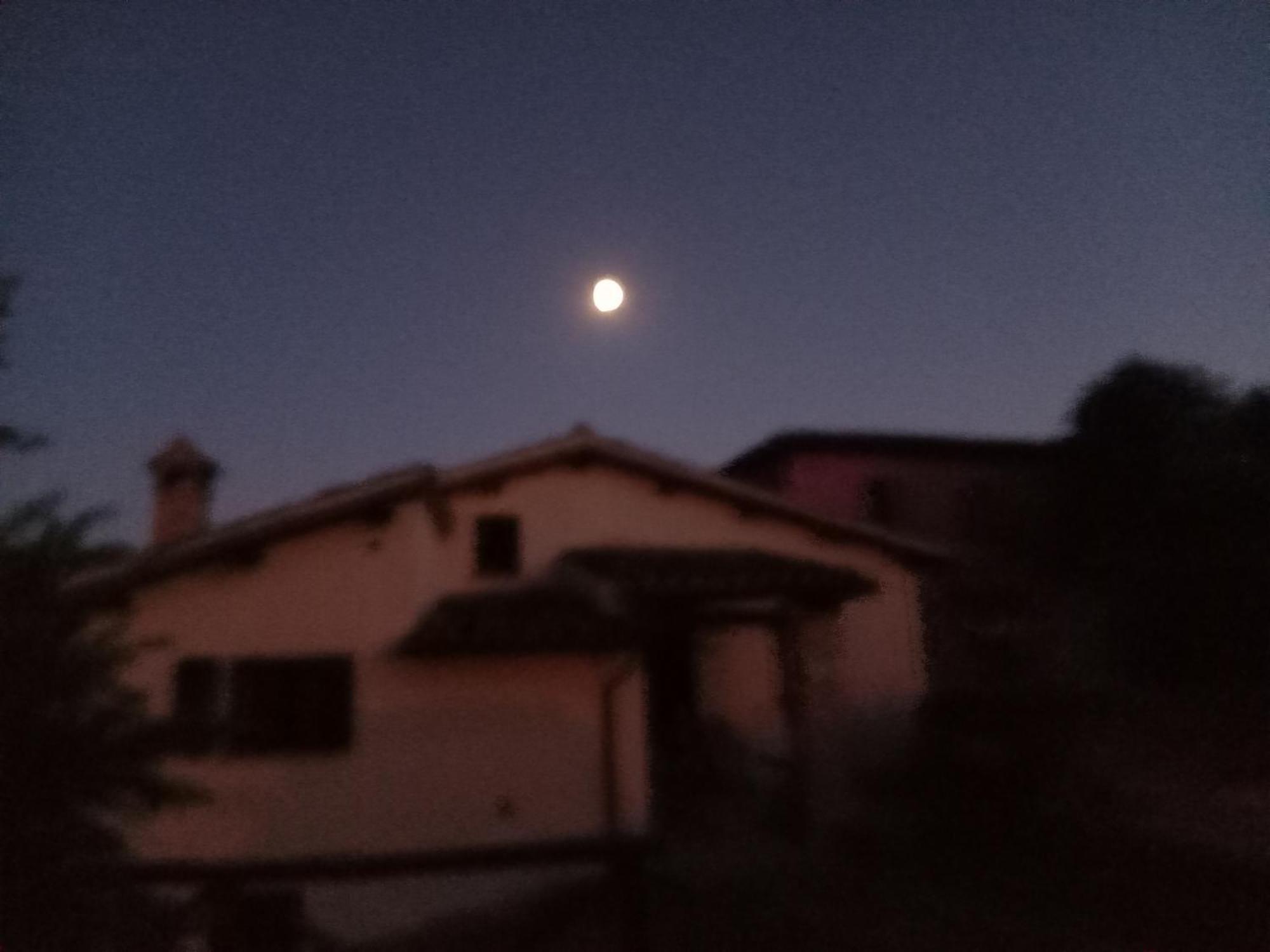 Villa Claudi Camerino Bagian luar foto